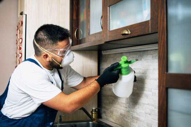 Best Pest Inspection Near Me  in Franklin, NC