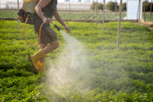 Professional Pest Control in Franklin, NC