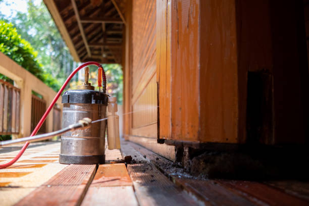 Best Pest Control Near Me  in Franklin, NC