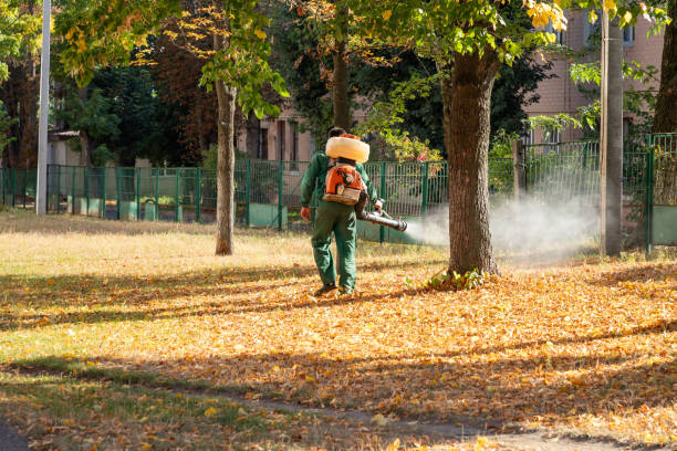 Best Affordable Pest Control Services  in Franklin, NC