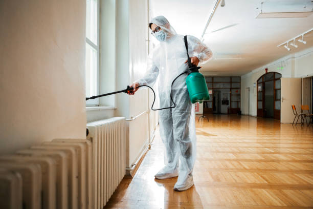 Best Flea Control Services  in Franklin, NC