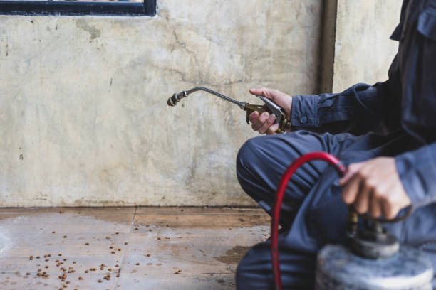 Best Pest Control Near Me in Franklin, NC